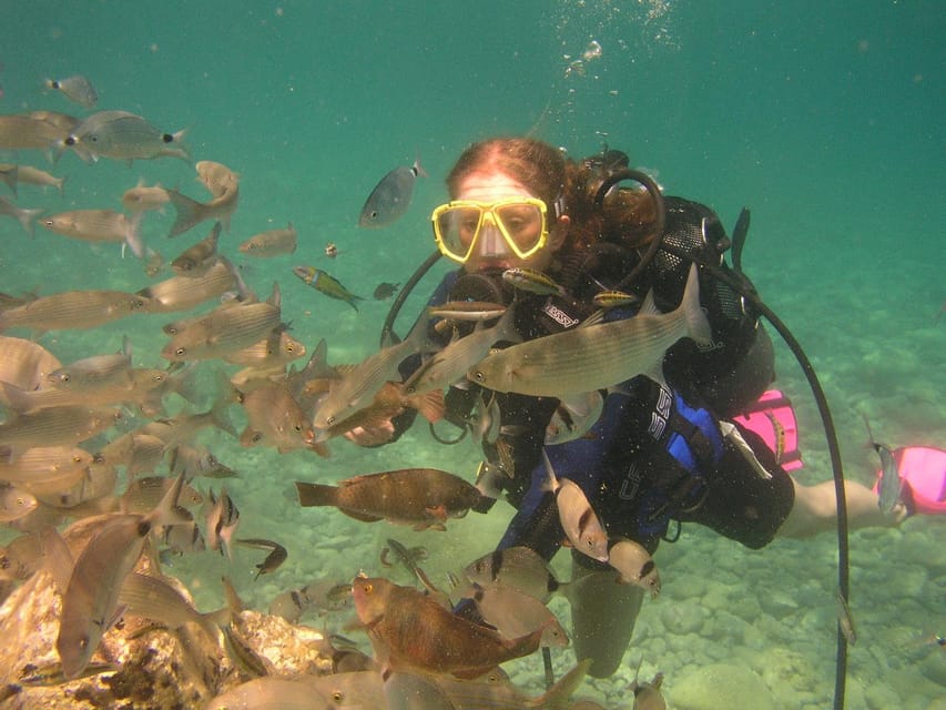 Bodrum Diving Day for Advanced and Beginner Divers - Experience for Beginners