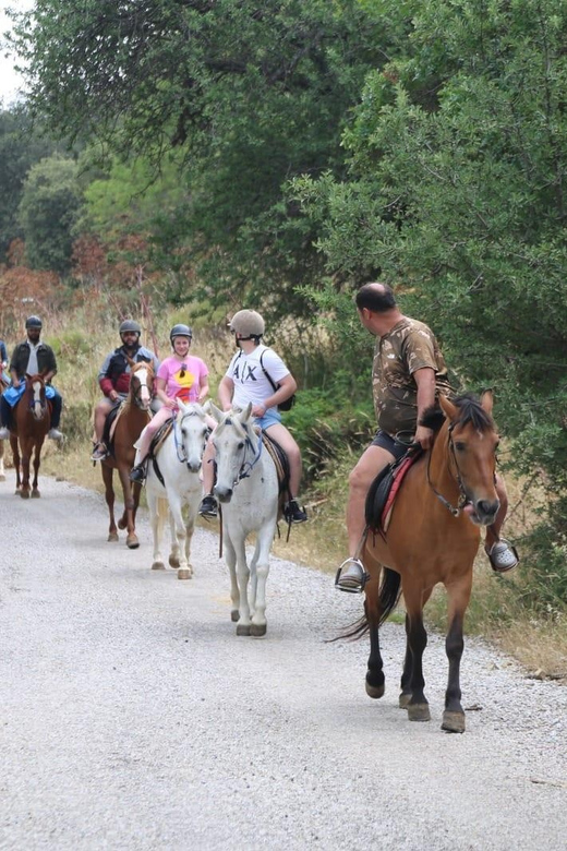 Bodrum Horse Riding With Final in the Sea - Itinerary Breakdown