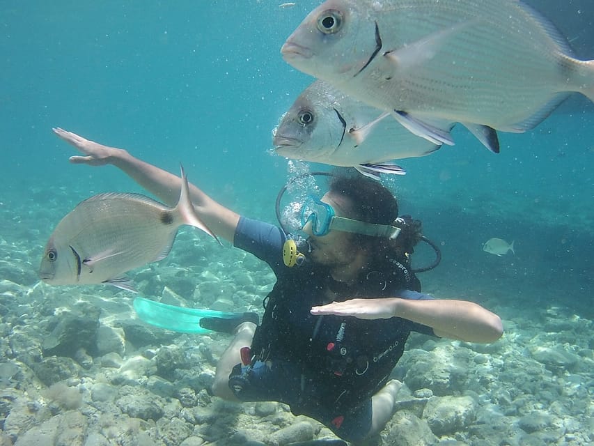 Bodrum: Scuba Diving Trip With Lunch - Highlights of the Experience