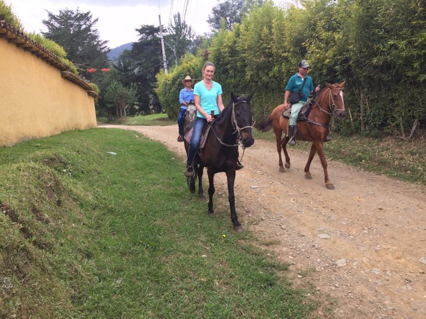 Bogota: Horseback Wilderness Ride - Highlights of the Tour