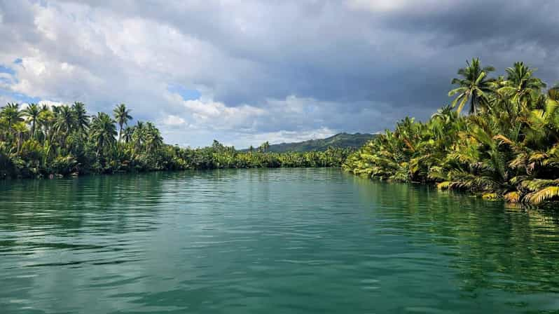 Bohol and Cebu: Natural Wonders of Central Visayas - Whale Shark Watching