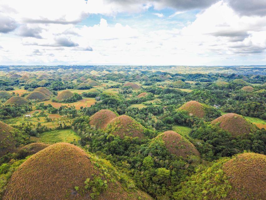 Bohol: Chocolate Hills and Countryside Tour - Itinerary Highlights