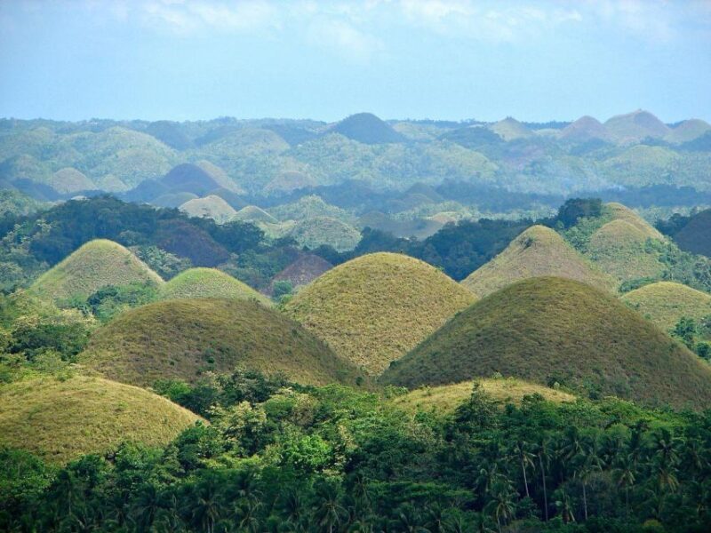 Bohol Day Tour From Cebu - Itinerary Highlights