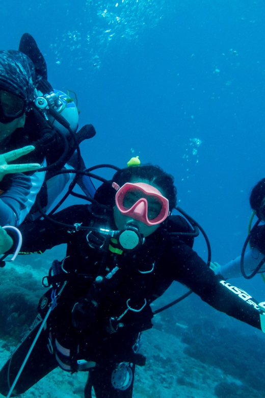 Bohol: Fun Dive Experience at Balicasag Island - Pricing and Duration