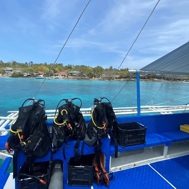 Bohol: Pamilacan Island Fun Dive Experience! - Diving Locations and Itinerary