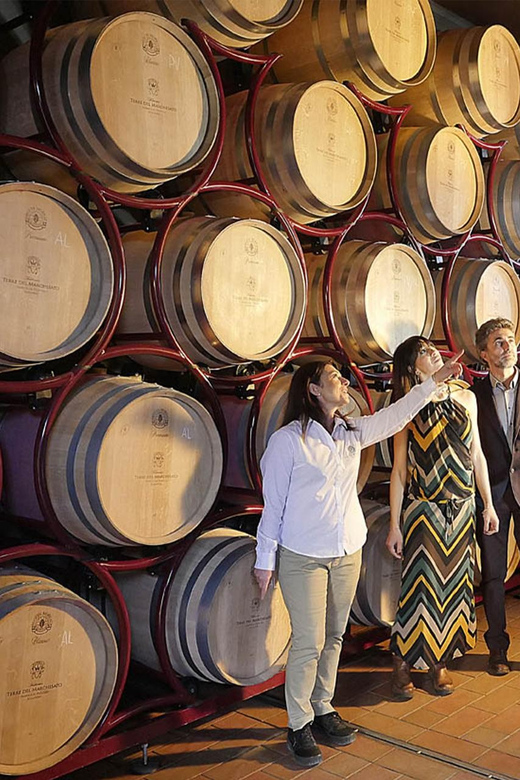 Bolgheri: Vertical Wine-Tasting at Terre Del Marchesato - Pricing and Booking