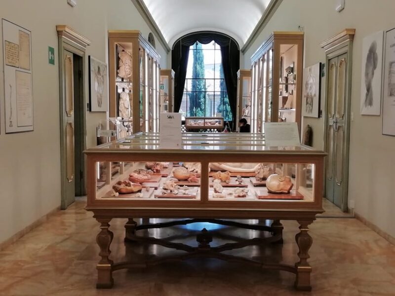 BOLOGNA WATERS and BOLOGNA Dotta: Guided Tour With Breakfast - Itinerary and Highlights