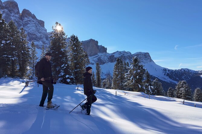 Bolzano Dolomites: Winter Hiking & Sledding Experience - Guided Hike and Trails