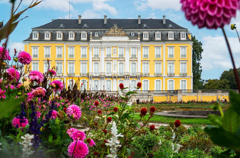 Bonn: Walking Tour With Audio Guide on App - Requirements and Recommendations