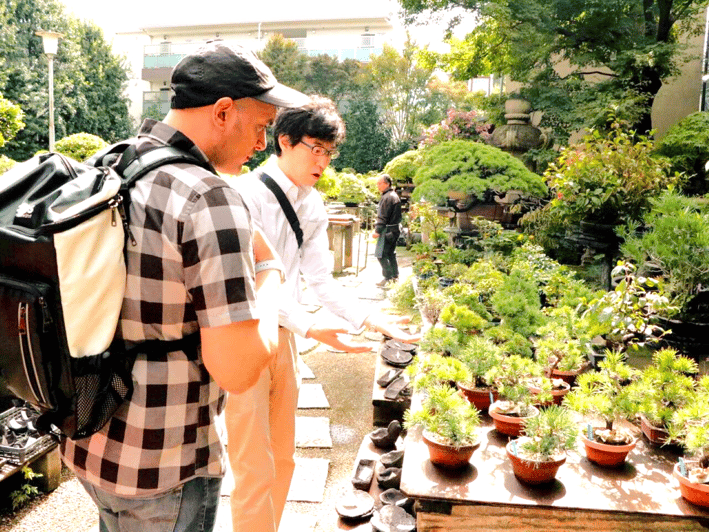 Bonsai City: Bonsai Tour & Experience at Bonsai Sanctuary - Learning Bonsai Techniques