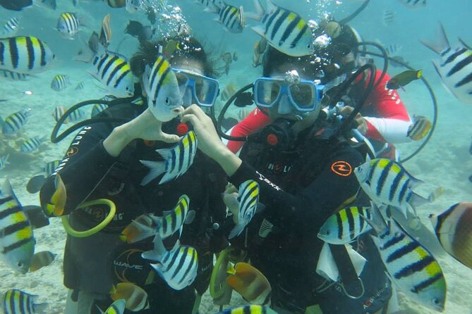 Boracay PADI Discover Scuba Diving - Location and Meeting Point