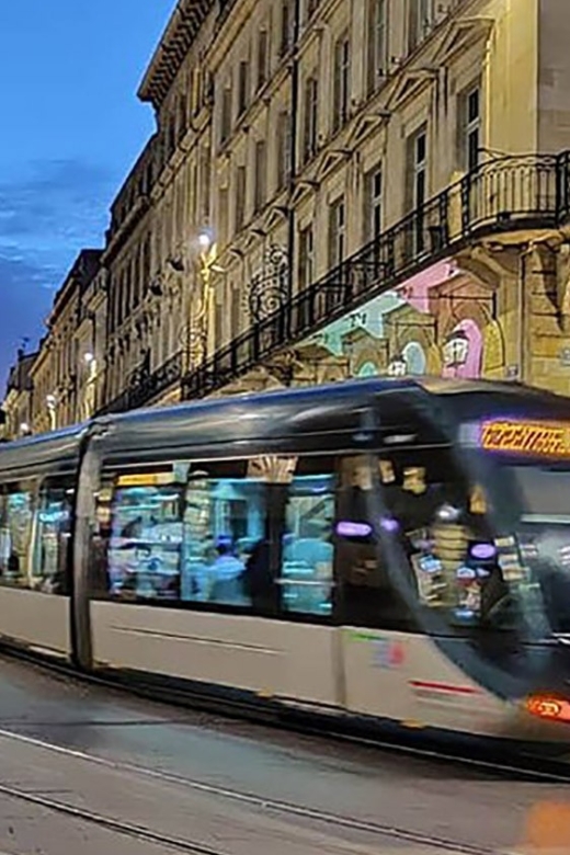 Bordeaux: Private Guided Walking Tour & Cite Du Vin - Highlights of the Experience