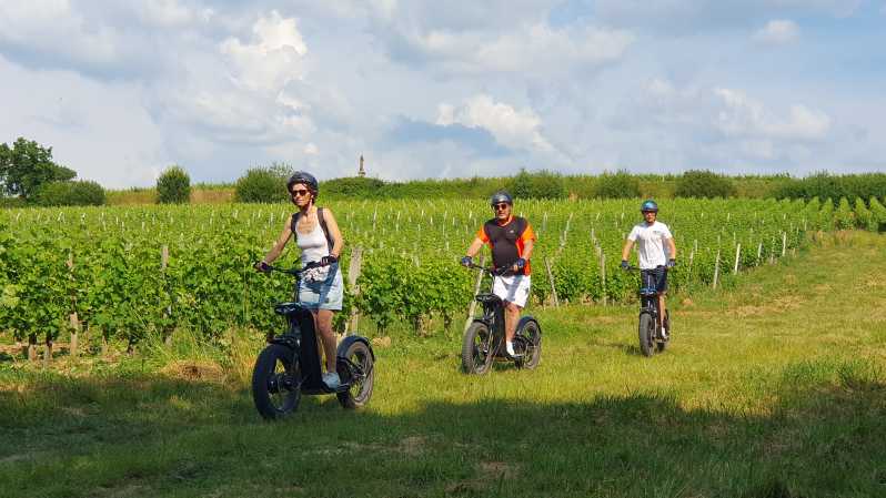 Bordeaux: Trot Circuit + Wine Tasting of La Louvière Castle - Participant Requirements