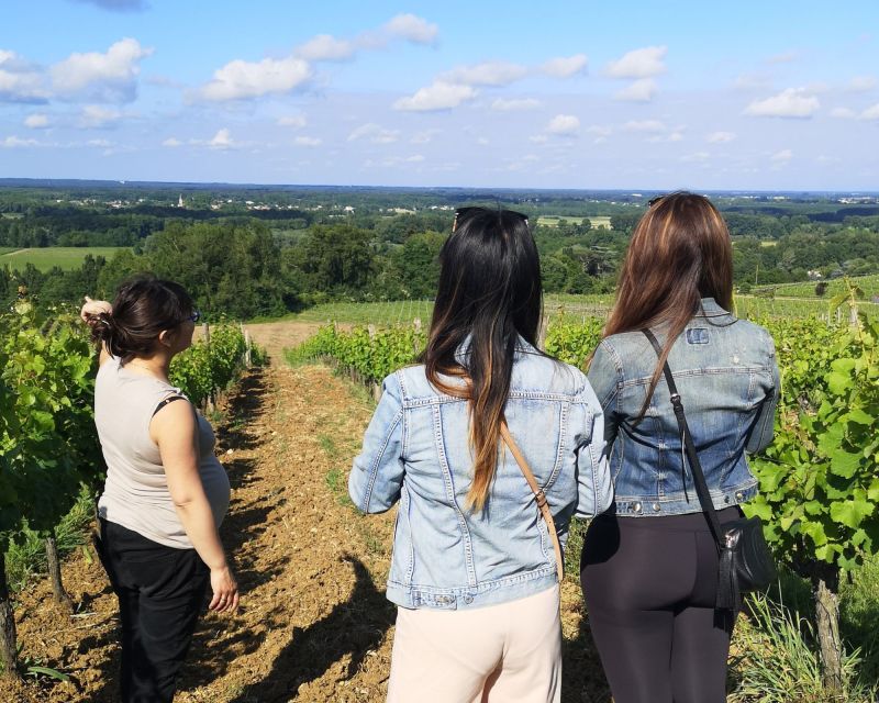 Bordeaux: Vineyard off the Beaten Track With Wine Tasting - Itinerary and Experience