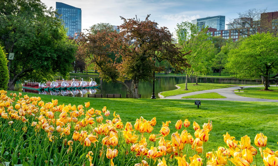 Boston: Back Bay Small Group Walking History Tour - Itinerary Highlights