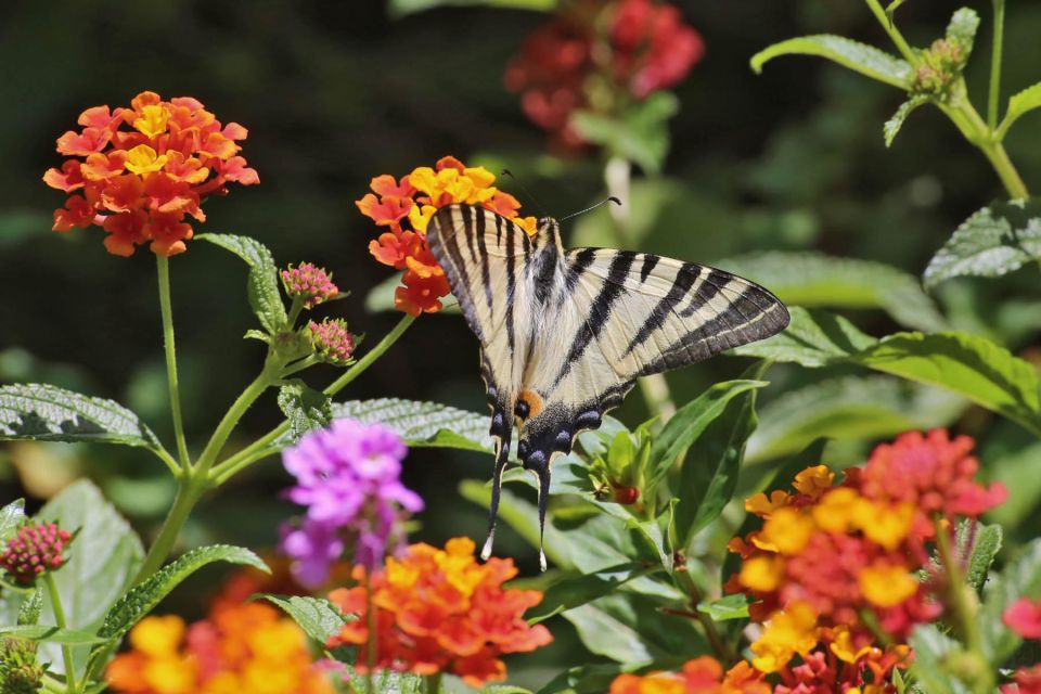 BOTANICAL PARK & GARDENS OF CRETE - Location and Accessibility