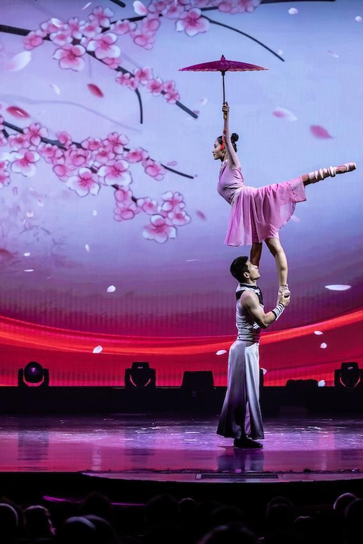 Branson: Grand Shanghai Acrobats Circus Show Entry Ticket - Key Points