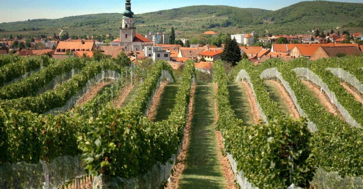 Bratislava: 6-Hour Carpathian Wine Tour and Tasting - Experience Highlights