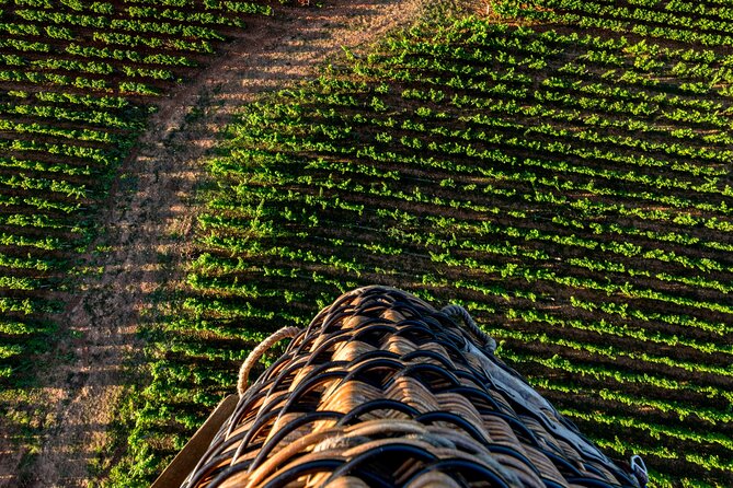 Burgundy Hot-Air Balloon Ride From Beaune - Meeting and Logistics