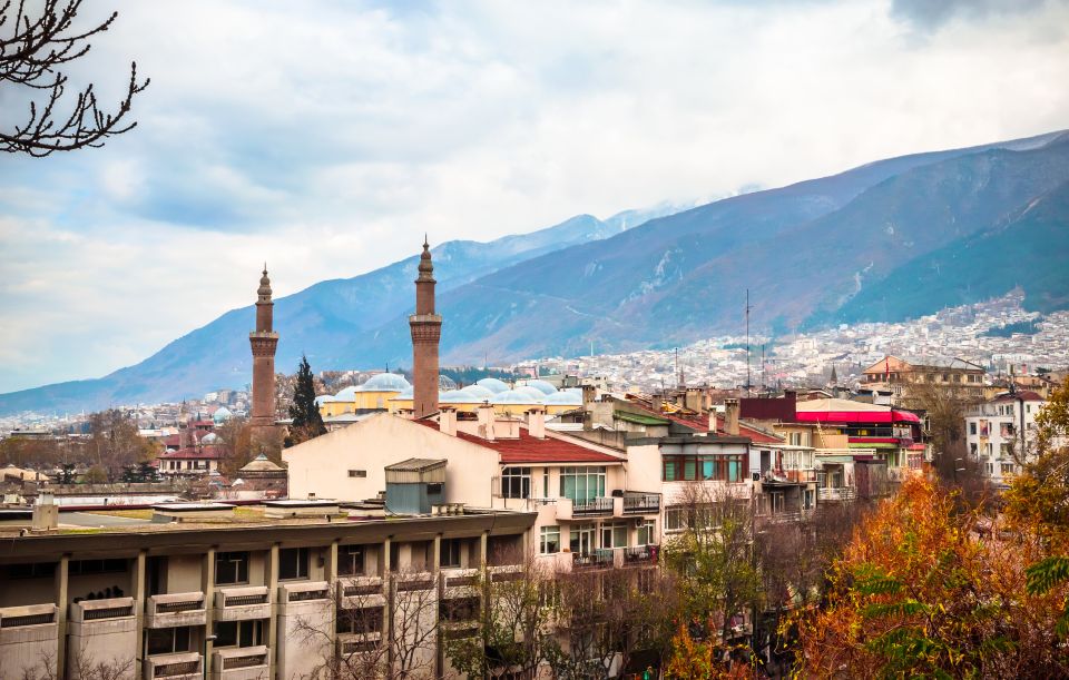 Bursa: Private Walking Tour - Pricing and Group Size