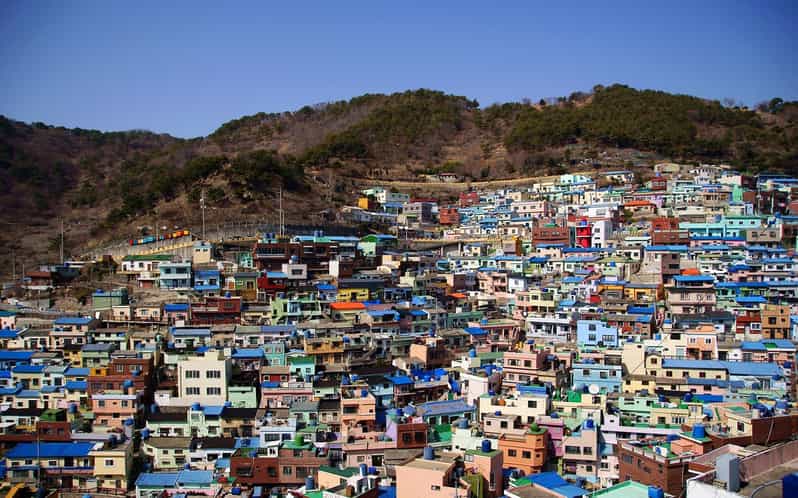 Busan Full-Day Private Tour With Daily Chauffeur - Itinerary Highlights