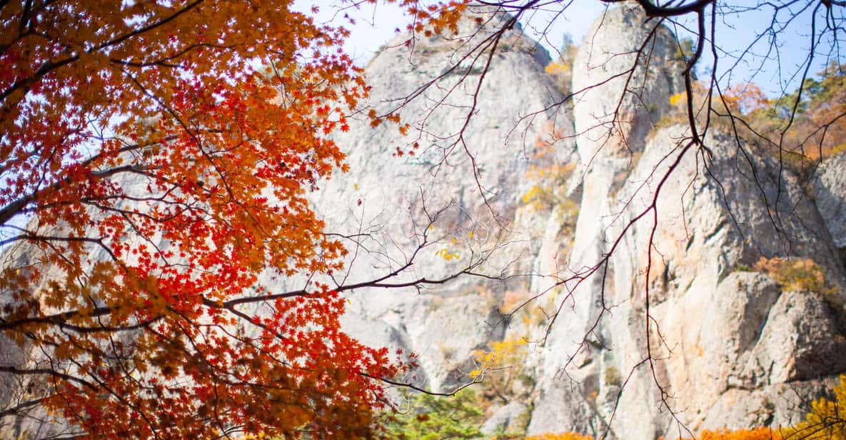 Busan: Mt. Jiri or Juwangsan National Park Fall Colors Tour - Experience Highlights