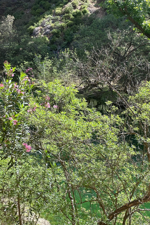 BUTTERFLY VALLEY - Best Time to Visit