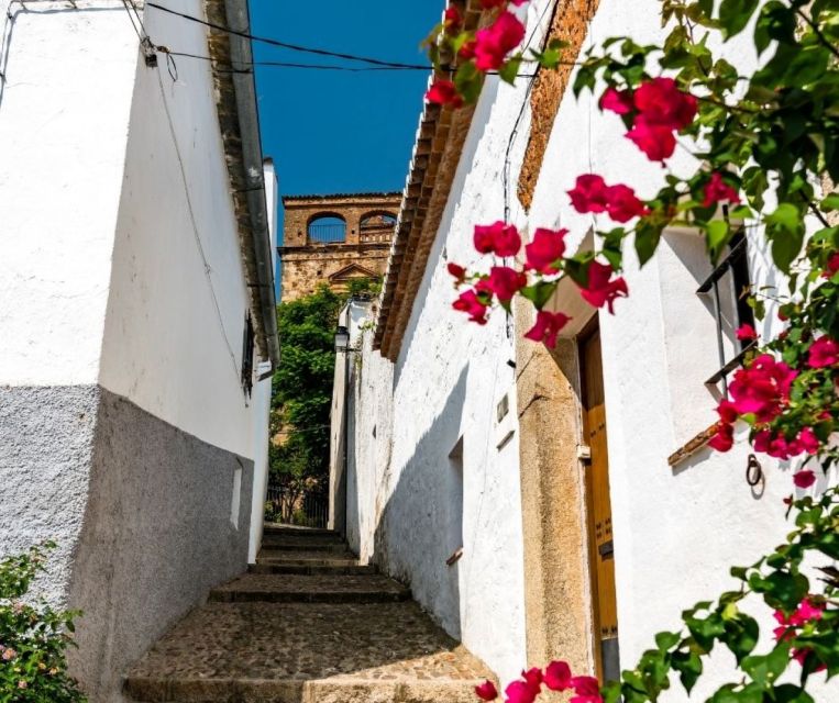 Caceres: City Highlights Private Guided Walking Tour - Meeting Point and Accessibility