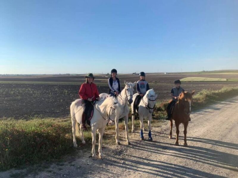Cádiz Countryside: Ride an Andalusian Horse - Customer Reviews