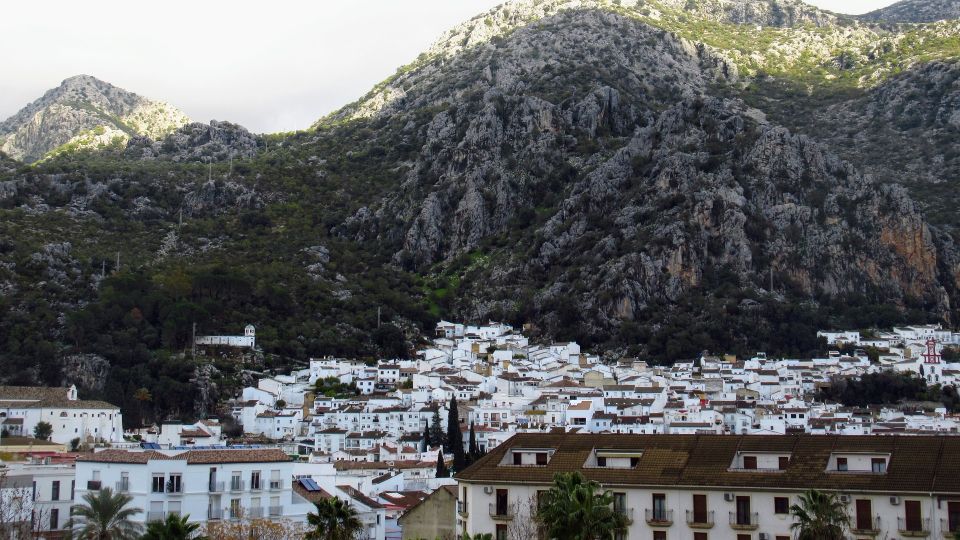 Cadiz, Jerez or El Puerto: White Towns of Andalusia Day Trip - Experience Highlights