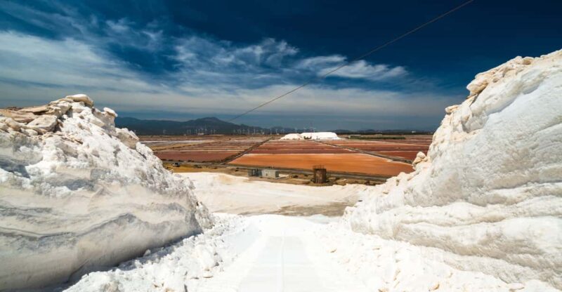Cagliari: Conti Vecchi Salt Flats Train and Tour - Highlights and Activities