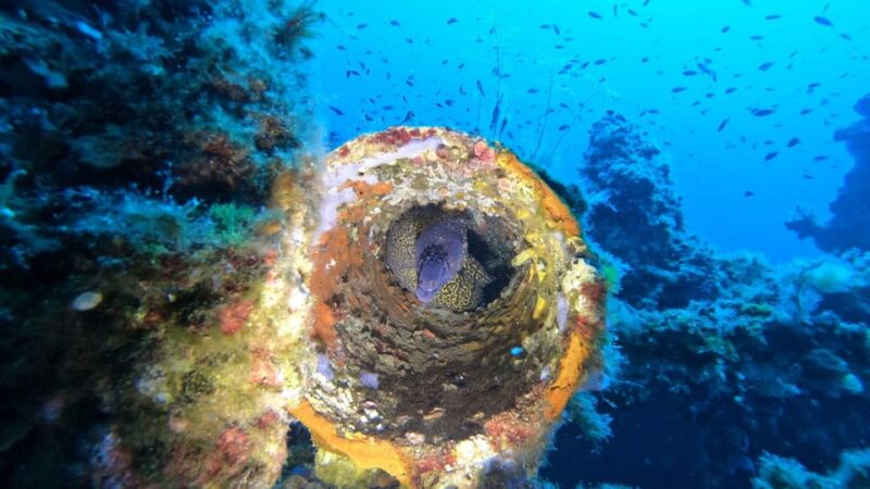 Cagliari: Discover Scuba Diving for Beginners - Pricing Information