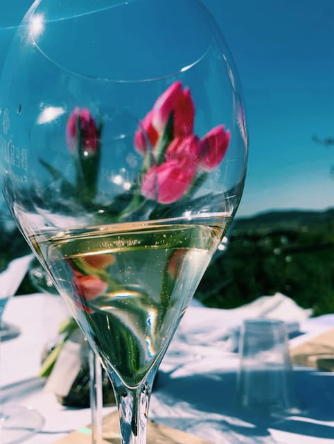 Cagliari: Wine Tasting Experience With a Sommelier - Wine and Food Pairing