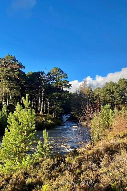 Cairngorms National Park: Mar Lodge Estate Guided Tour - Itinerary Details