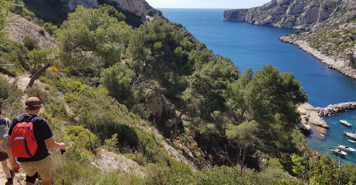 Calanques National Park: 6-Hour Hike - Experience Highlights