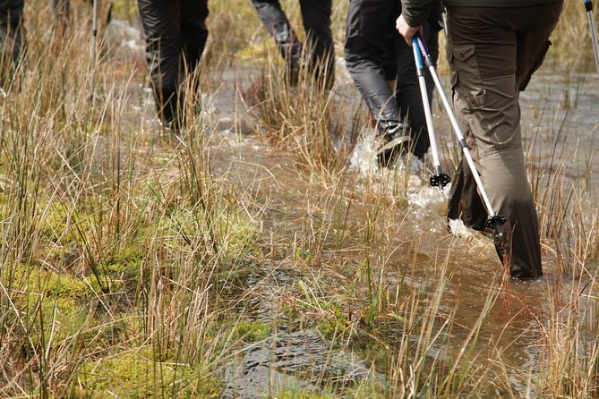 Caldeira Do Faial Descent - Private Hiking Tour - Safety Considerations