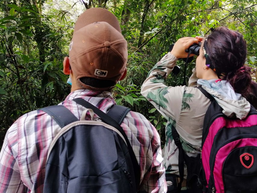 Cali: Bird Watching - Unique Bird Species in Cali