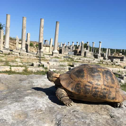 Call Of Ancient History In Perge - Highlights of the Tour