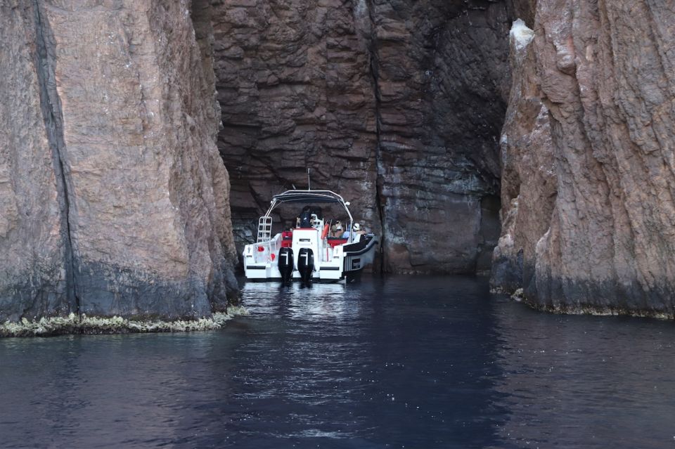 Calvi to Scandola: 4-Hour Boat Tour - Booking Details