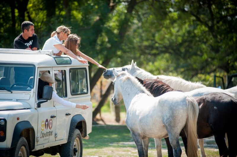 Camargue: Half-Day 4x4 Guided Safari Adventure - Itinerary Highlights