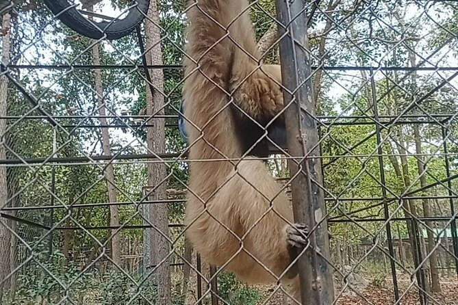 Cambodia Wildlife Sanctuary and Countryside Tour - Unique Features of the Tour