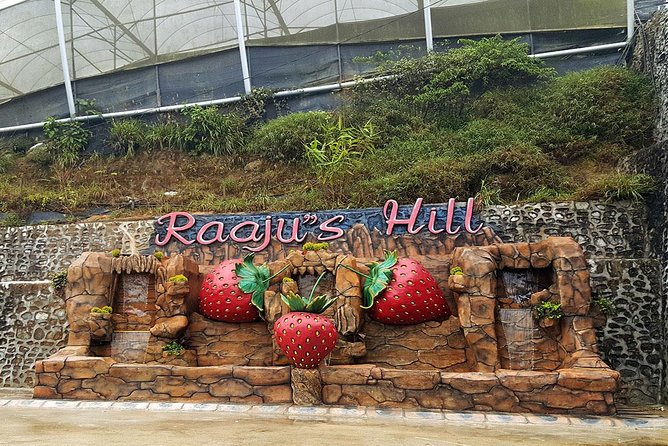 Cameron Highlands Tour From Kuala Lumpur (Private Tour) - Itinerary Overview