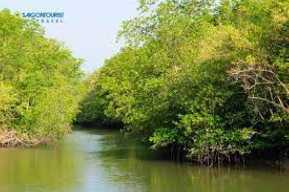 Can Gio Mangrove Forest and Monkey Island Full Day Tour - Can Gio Biosphere Reserve