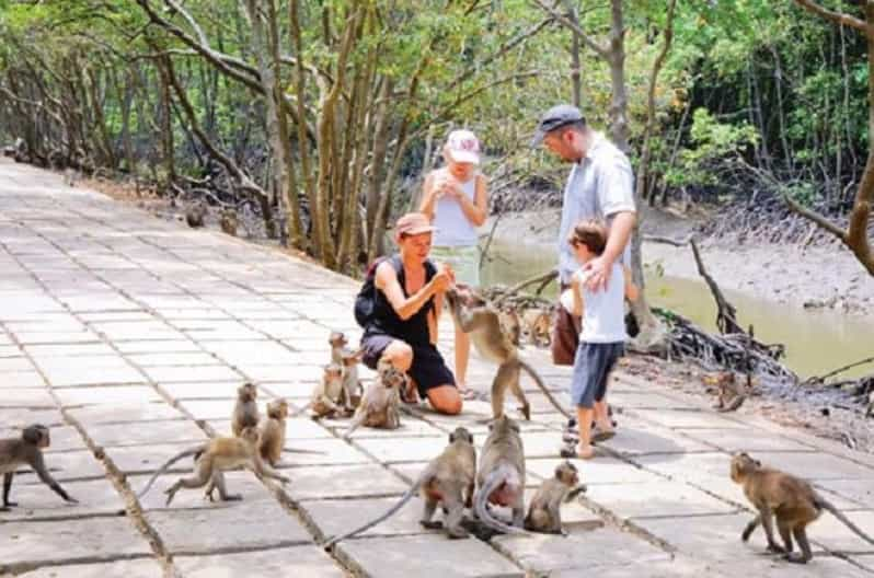 Can Gio Mangrove Forests - Itinerary Details