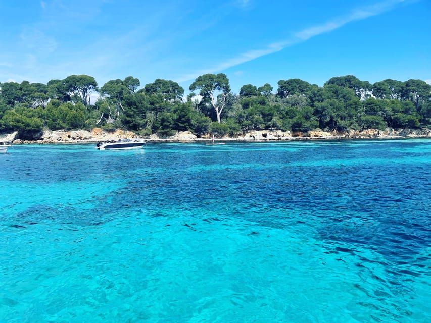 Cannes: Private Boat Tour to the Lérins Islands - Experience Highlights