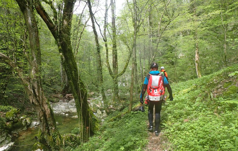 Canyoning Full Day - Furon 1 & 2: Vercors - Grenoble - Itinerary and Experience