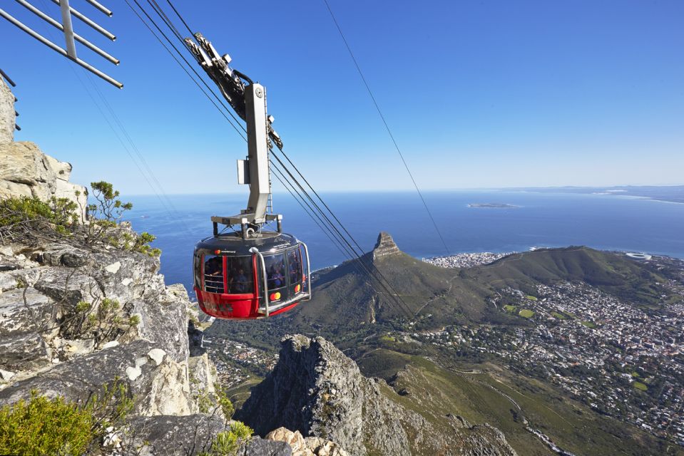 Cape Town: Half-Day City Tour - Majestic Views From Signal Hill