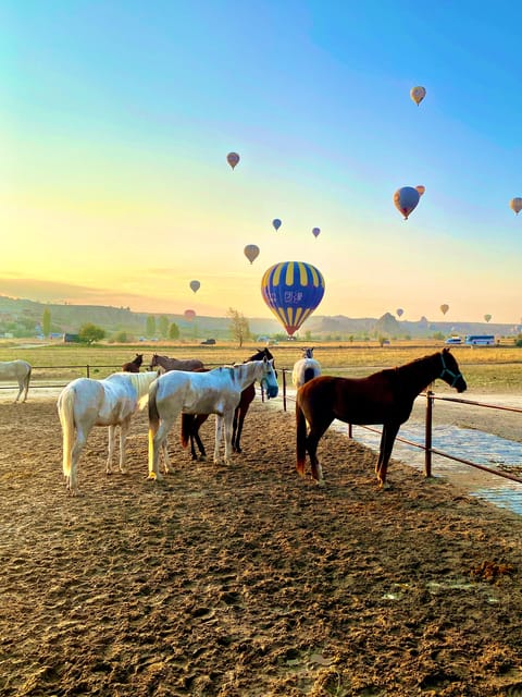 Cappadocia: Fascinating Horse Tour in Göreme Valleys - Pricing and Reservation