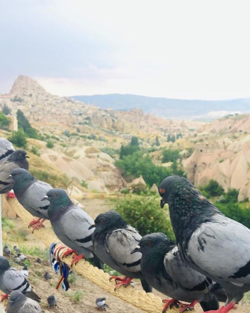 Cappadocia Green Tour - Highlights of the Tour