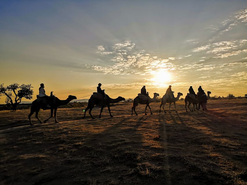 Cappadocia: Sunrise Camel Safari - Experience Highlights